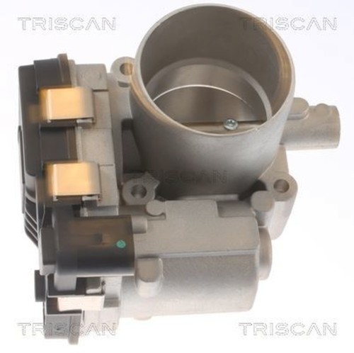 Throttle body triscan - throttle, fits